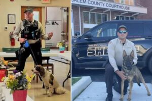 NJ cop in charge of K-9 unit charged after leaving two police dogs to die in hot car for 7 hours: report