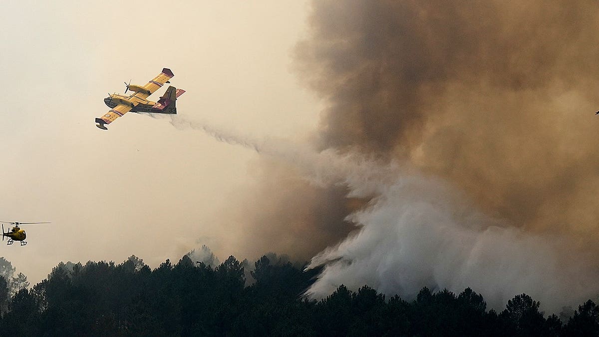 France Wildfires
