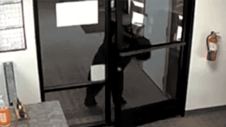 Black bear caught on video wandering into California water district office after pushing open front door
