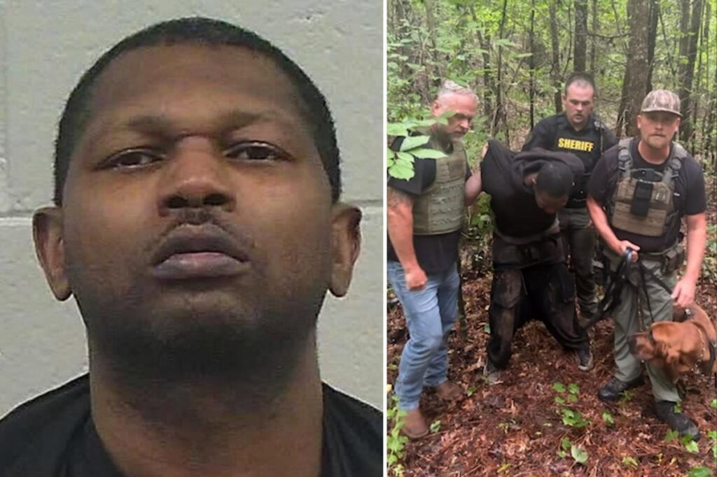 10-hour Ga. manhunt ends after bloodhound K-9 locates brute accused of shooting mother of his child 10-hour Ga. manhunt ends after bloodhound K-9 locates brute accused of shooting mother of his child