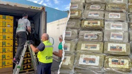 0M cocaine haul found ‘skillfully concealed’ in massive banana shipment