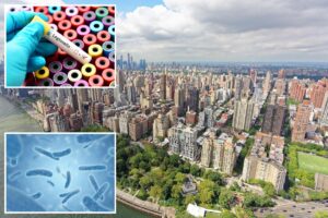 Sixth person dies in NYC Legionnaires’ disease outbreak
