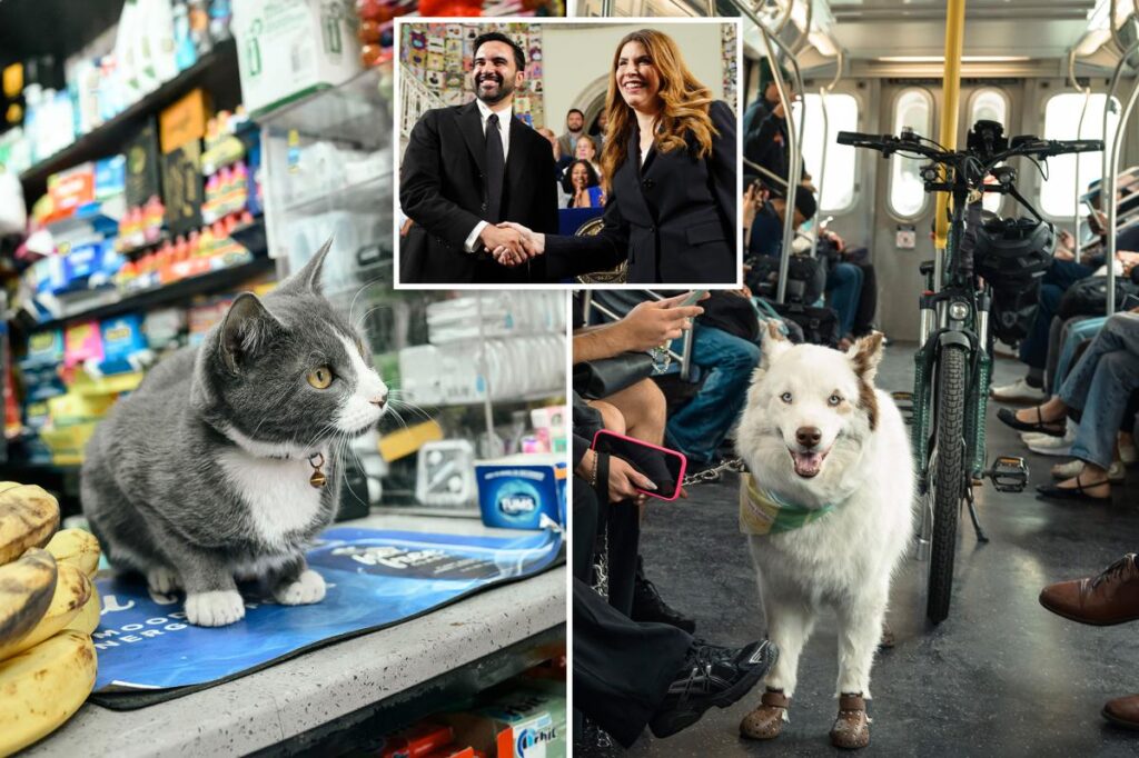 NYC budget provides .5M in freebies for furry friends — including new pet-food pantry
