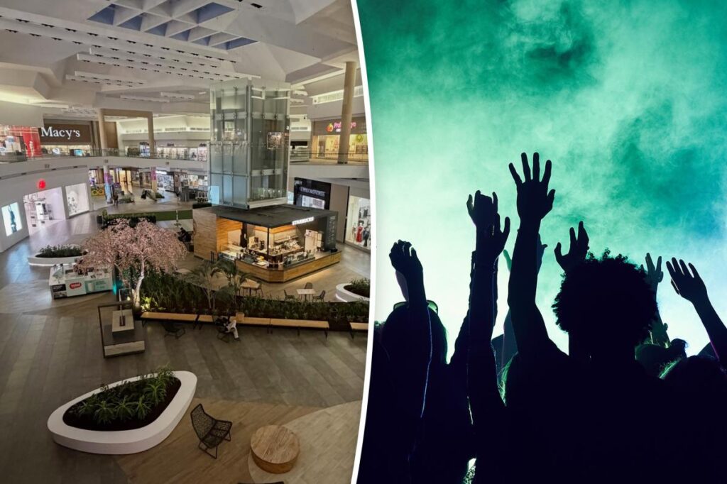 San Jose mall to host wild overnight rave with secret DJ lineup San Jose mall to host wild overnight rave with secret DJ lineup
