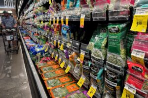 FDA says Taylor Farms had false positive after test pinned ‘explosive diarrhea’ parasite on Taco Bell lettuce supplier FDA says Taylor Farms had false positive after test pinned ‘explosive diarrhea’ parasite on Taco Bell lettuce supplier