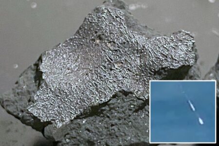 ‘Alien chemistry’ meteorite that slammed NJ home is among rarest space rocks ever recovered ‘Alien chemistry’ meteorite that slammed NJ home is among rarest space rocks ever recovered