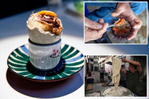 Pass the maggots please: Here is  where America’s most adventrous eaters live