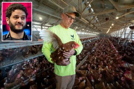 Exclusive | Facebook co-founder Dustin Moskovitz bankrolled 0 million activist crusade that’s made your bacon and eggs pricier