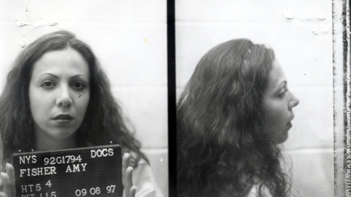 Amy Fisher mug shot