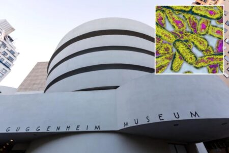 Guggenheim Museum among 31 NYC buildings infected with Legionnaires bacteria
