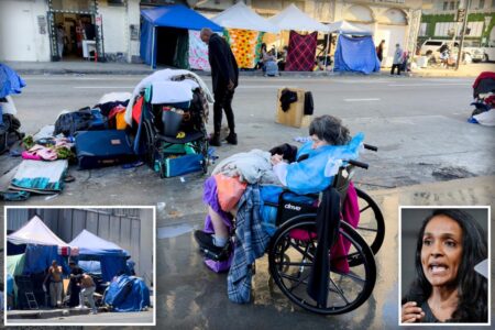 Exclusive | LA blew M on homeless ‘fix’ — it housed just three units