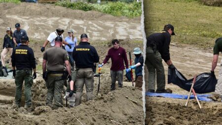 117 dead dogs found at animal rescue, many with gunshot wounds as investigators probe for answers 117 dead dogs found at animal rescue, many with gunshot wounds as investigators probe for answers