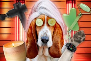 Exclusive | Meet the pet owners spending thousands of dollars on doggy wellness — from 0 red light therapy to 0 PEMF beds Exclusive | Meet the pet owners spending thousands of dollars on doggy wellness — from 0 red light therapy to 0 PEMF beds
