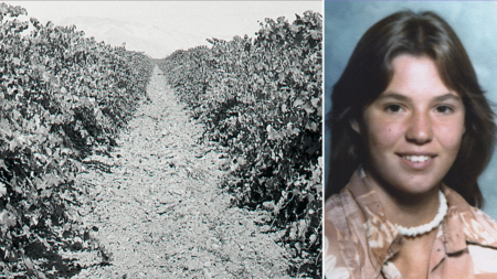 Teen found in shallow California vineyard grave identified nearly 50 years later as family warns killer