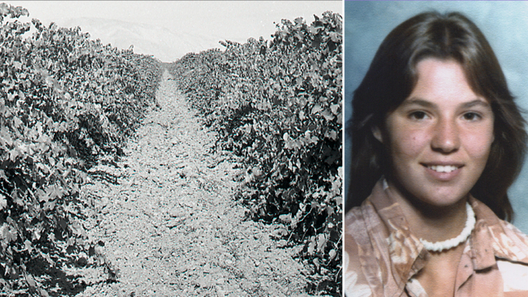 Teen found in shallow California vineyard grave identified nearly 50 years later as family warns killer Teen found in shallow California vineyard grave identified nearly 50 years later as family warns killer