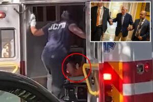 Mitch McConnell seen being loaded into ambulance after suffering apparent cardiac arrest, new video shows Mitch McConnell seen being loaded into ambulance after suffering apparent cardiac arrest, new video shows