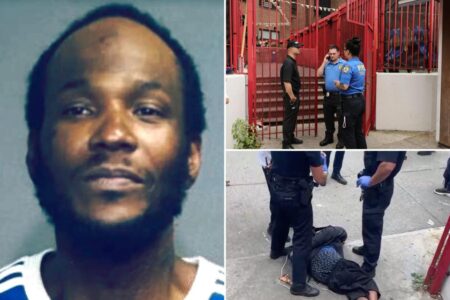 Hammer-wielding nut with over 50 busts kept getting released before being charged with chasing teen into NYC school
