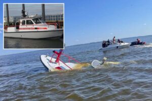 Whale strikes, sinks NJ fire rescue ship returning from NY Harbor after July 4th festivities Whale strikes, sinks NJ fire rescue ship returning from NY Harbor after July 4th festivities