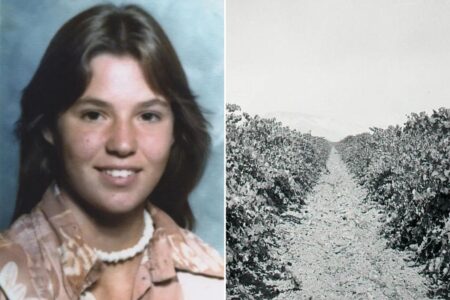 Teen murder victim found in California vineyard identified 48 years later