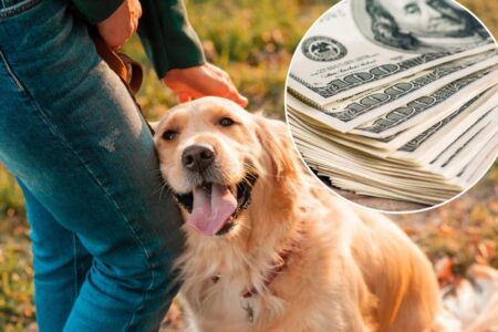 The ,000 dog: Inside the pet debt crisis hitting a breaking point in 2026