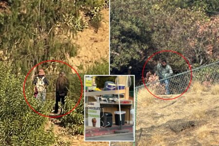 Exclusive | Lake Hollywood Park rocked by wave of truly disgusting acts — before food is served Exclusive | Lake Hollywood Park rocked by wave of truly disgusting acts — before food is served