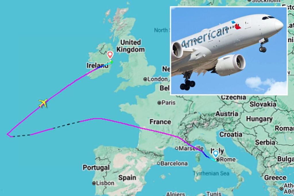 American Airlines flight makes emergency landing after 6 crew members report mysterious illness