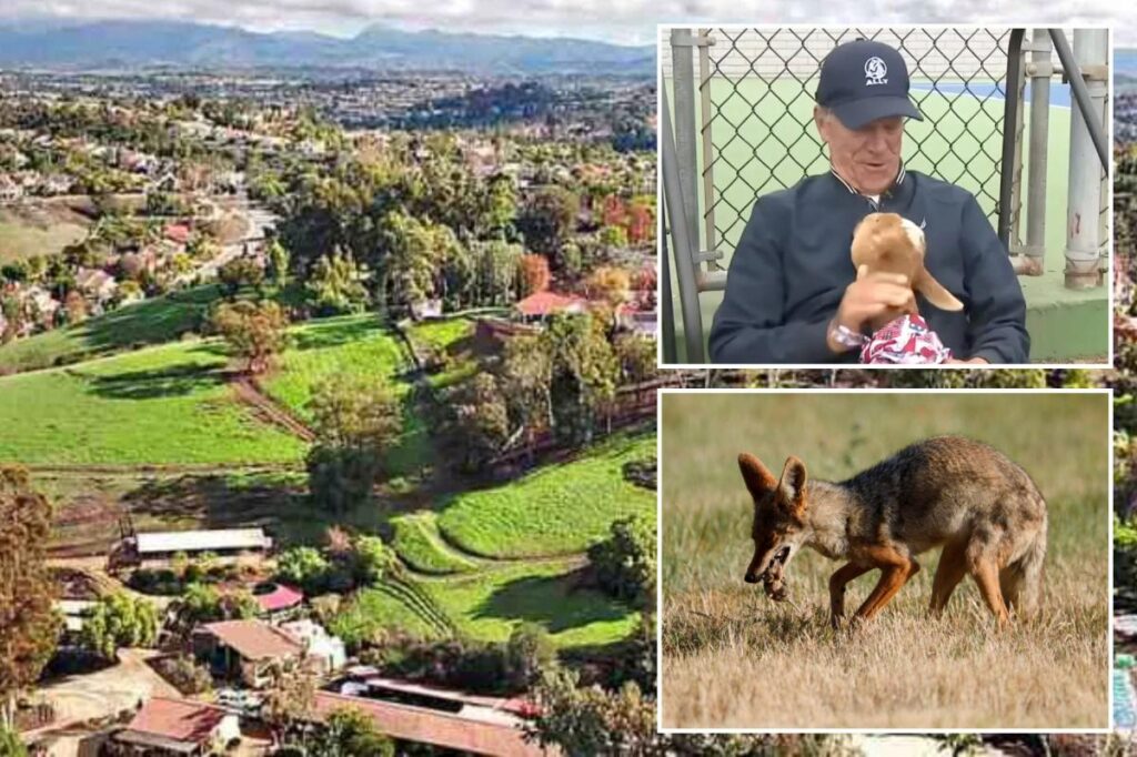 SoCal HOA sues family for protecting their pets from nighttime invaders
