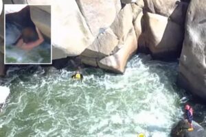 Heart-pounding moment woman rescued from SoCal river after falling into raging rapid