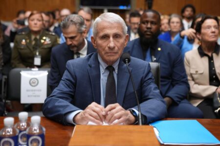Dr. Anthony Fauci pleads the Fifth Amendment in Senate hearing bombshell