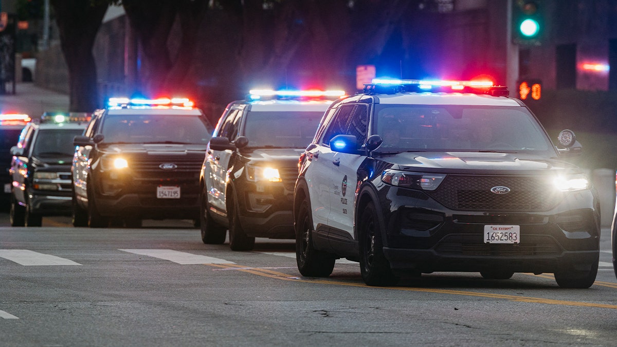 line of police cars on street
