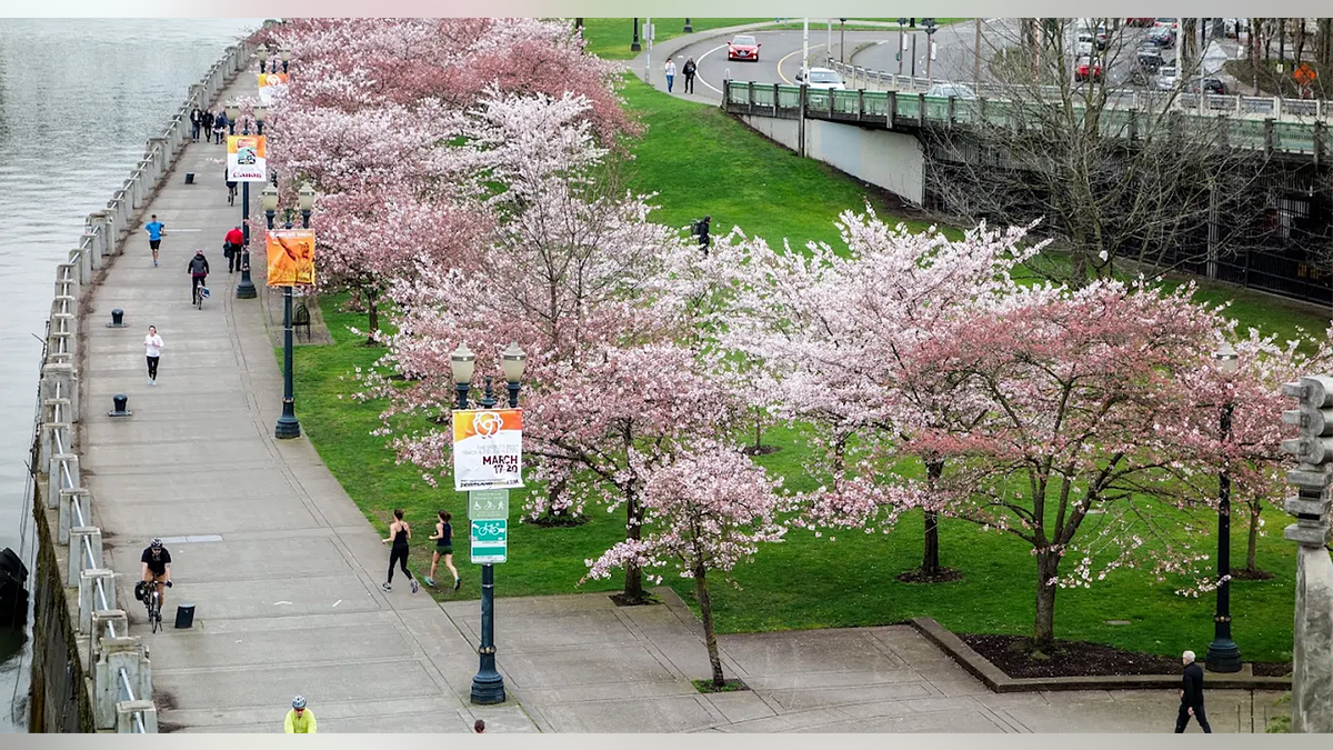 Tom McCall Waterfront Park