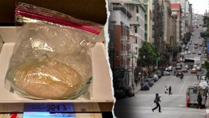California suspect’s alleged K meth stash busted after leaving backpack in rideshare: police