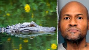 Officers in Maryland respond to reported assault, discover guns and unusual group of animals Officers in Maryland respond to reported assault, discover guns and unusual group of animals