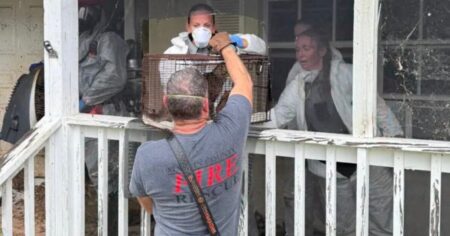 Florida Woman Arrested After 70 Cats and Dogs Found Living in ‘Horrific’ Conditions at Her Home