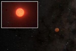 Astronomers discover Earth’s new ‘next-door neighbor’ — a potentially habitable planet