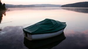 Black Forest coolcation: tourism in Germany surges in 2026