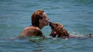 Dog-friendly beaches in Spain: Where to swim with your pet this summer