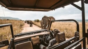 Can’t make a non-refundable trip? There’s a resale platform for that Can’t make a non-refundable trip? There’s a resale platform for that