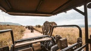 Travellers are embracing YOLO and JOMO but not FOMO, survey says