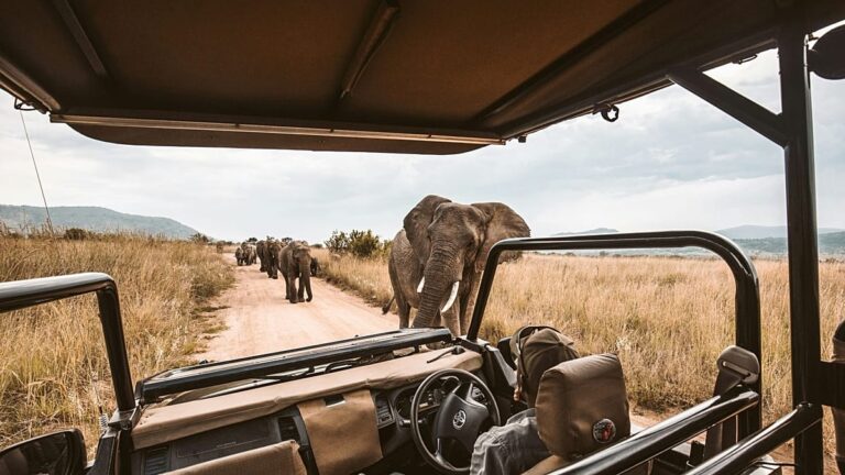 Travellers are embracing YOLO and JOMO but not FOMO, survey says