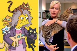 ‘Crazy cat ladies’ are real: Study reveals differences in how men and women bond with pets