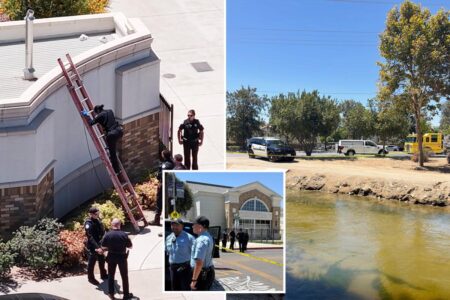 California city rocked by pair of strange deaths as bodies discovered high and low California city rocked by pair of strange deaths as bodies discovered high and low
