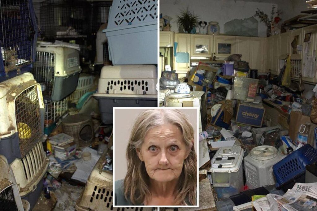 Hoarder mail carrier trapped over 100 cats, dogs stolen from her route in feces-filled Florida house of horrors Hoarder mail carrier trapped over 100 cats, dogs stolen from her route in feces-filled Florida house of horrors