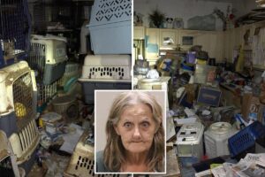 Hoarder mail carrier trapped over 100 cats, dogs stolen from her route in feces-filled Florida house of horrors