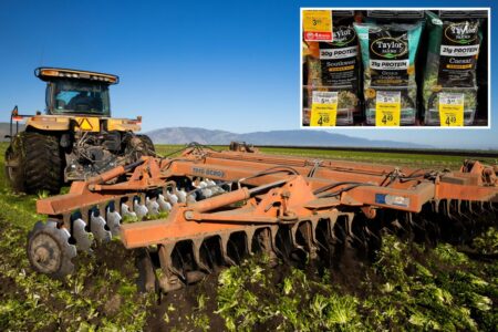 California farmers destroy perfect lettuce crops amid outbreak of explosive diarrhea parasite 