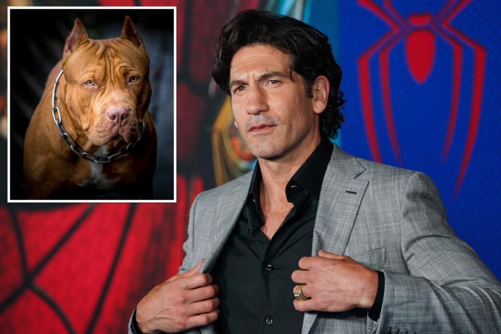 ‘Punisher’ star Jon Bernthal says pit bulls are victims of ‘dog racism’: ‘A lot of bulls–t’