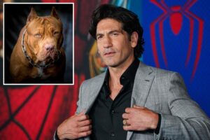 ‘Punisher’ star Jon Bernthal says pit bulls are victims of ‘dog racism’: ‘A lot of bulls–t’