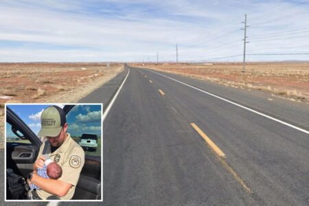 11-day-old Arizona baby found hundreds of miles away after being kidnapped
