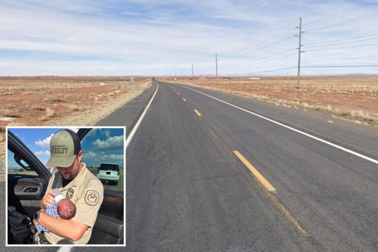 11-day-old Arizona baby found hundreds of miles away after being kidnapped