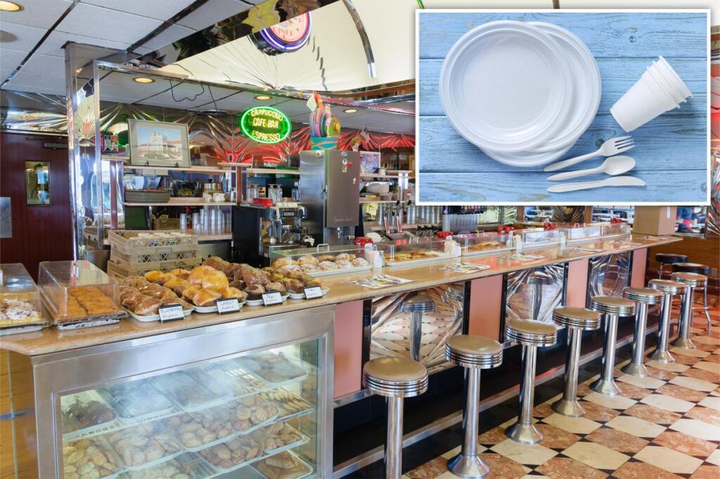 NJ diners fume over new ‘Skip the Stuff’ law affecting take-out orders: ‘Next will be toilet paper in public bathrooms’